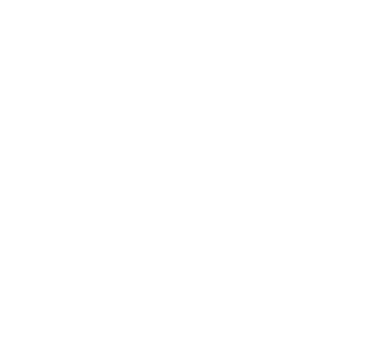 N2iMinds