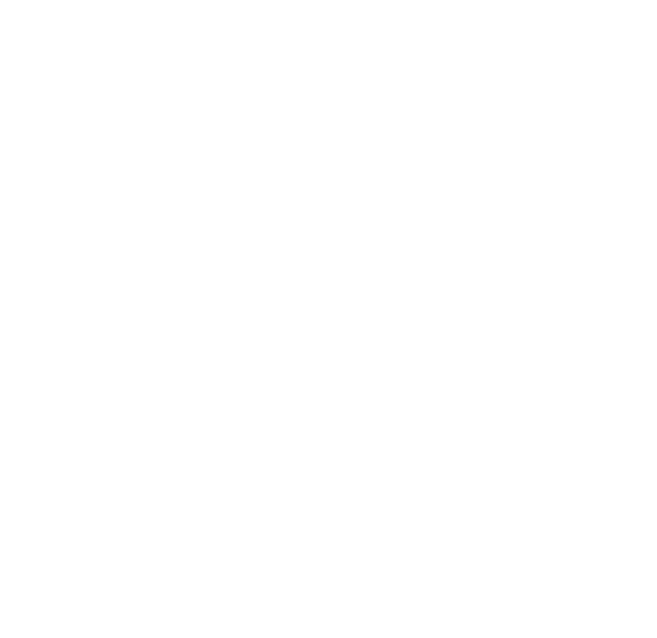 N2i Minds